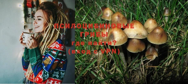 мдпв Корсаков