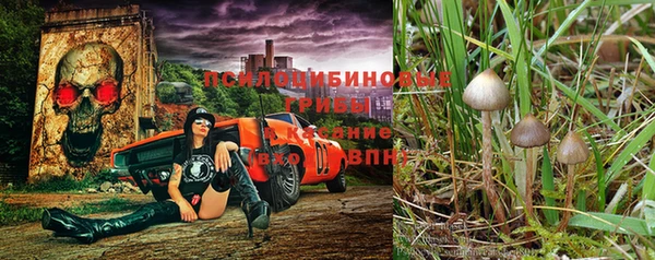 мдпв Корсаков