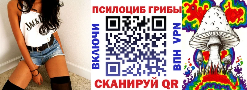 наркота  Мамоново  Псилоцибиновые грибы Psilocybe 